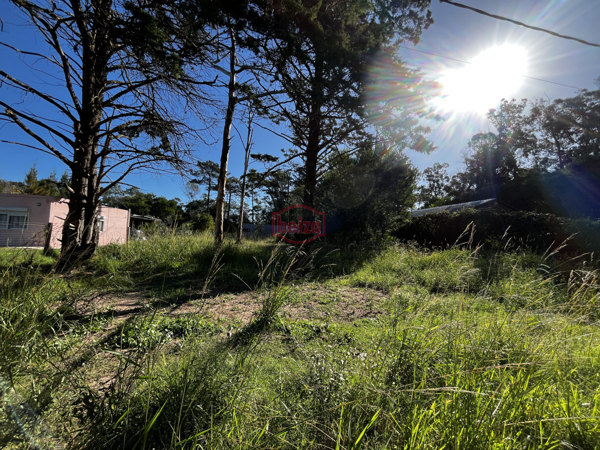 Terreno ID.166887/Terreno-próximo-a-la-costa-en-Piedras-del-Chileno - Venta terreno Ocean park maldonado