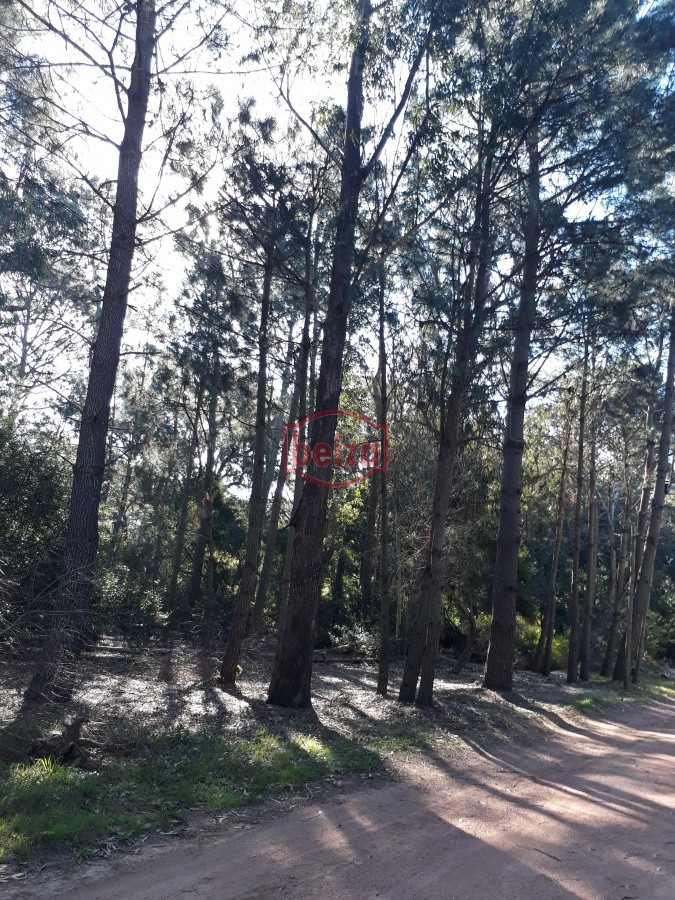 Terreno ID.163882 - Terreno en Solanas Village