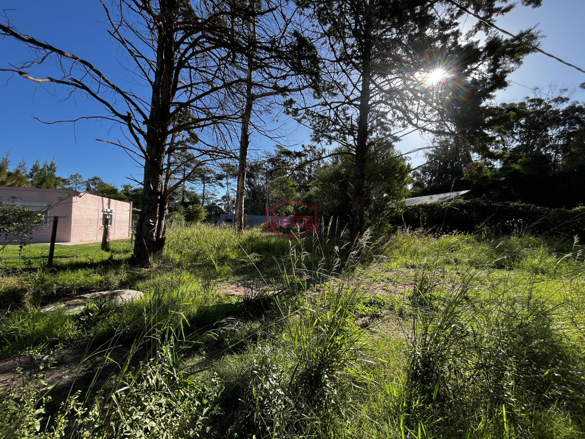Terreno ID.166887/Terreno-próximo-a-la-costa-en-Piedras-del-Chileno - Venta terreno Ocean park maldonado