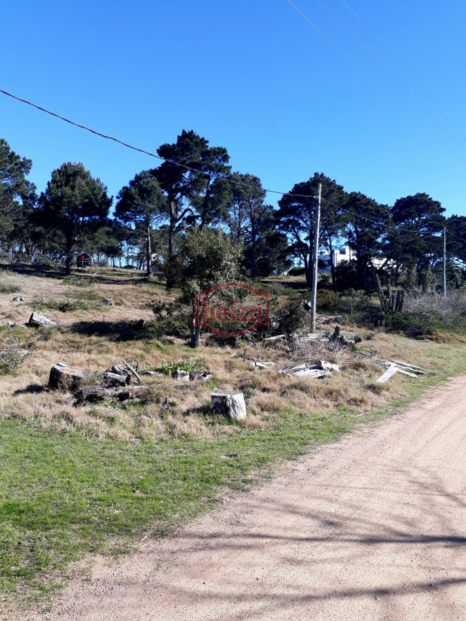 Terreno ID.163869/terreno-en-zona-de-auge - Terreno apto para edificio, en Piedras del Chileno