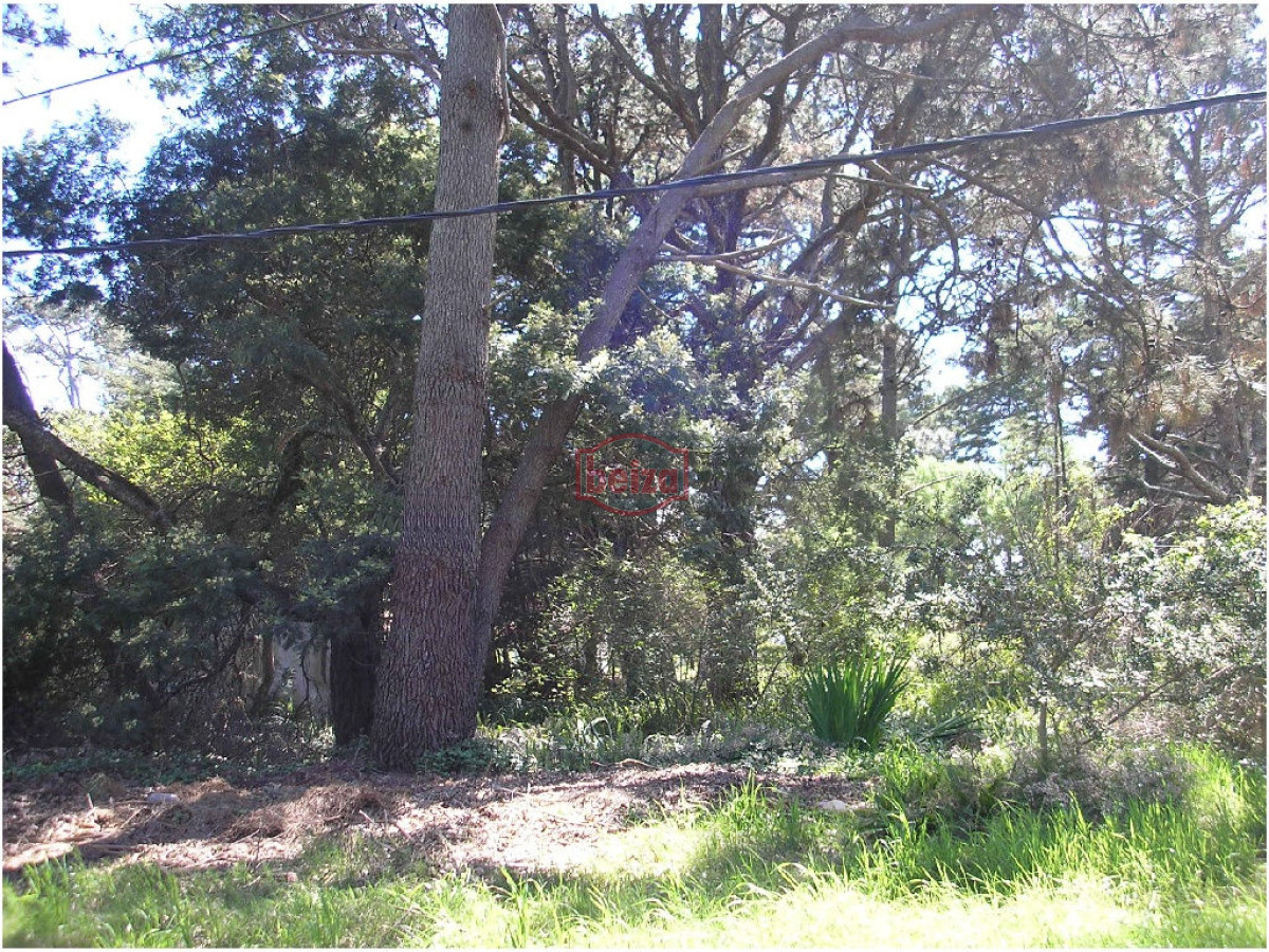 Terreno ID.163420/Venta-de-Lote-en-club-del-Lago-2628m2. - Terreno en Punta Ballena, Punta Ballena