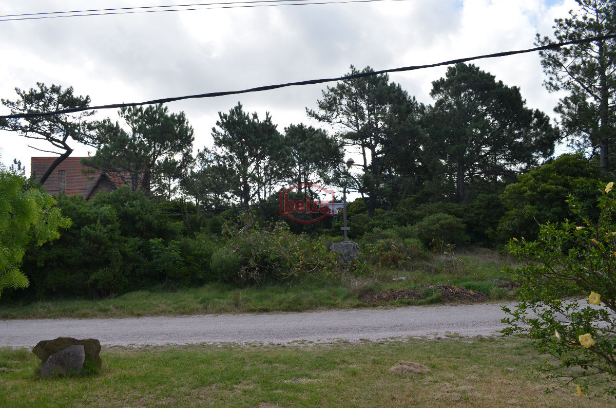 Terreno ID.163437 - Terreno en Punta del Este, Pinares