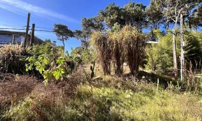 Venta terreno a 3 cuadras del mar Montoya Punta del Este