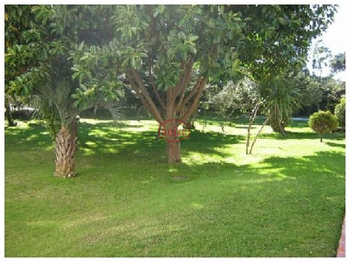 Apartamento ID.161205 - Un dormitorio - Aidy Grill