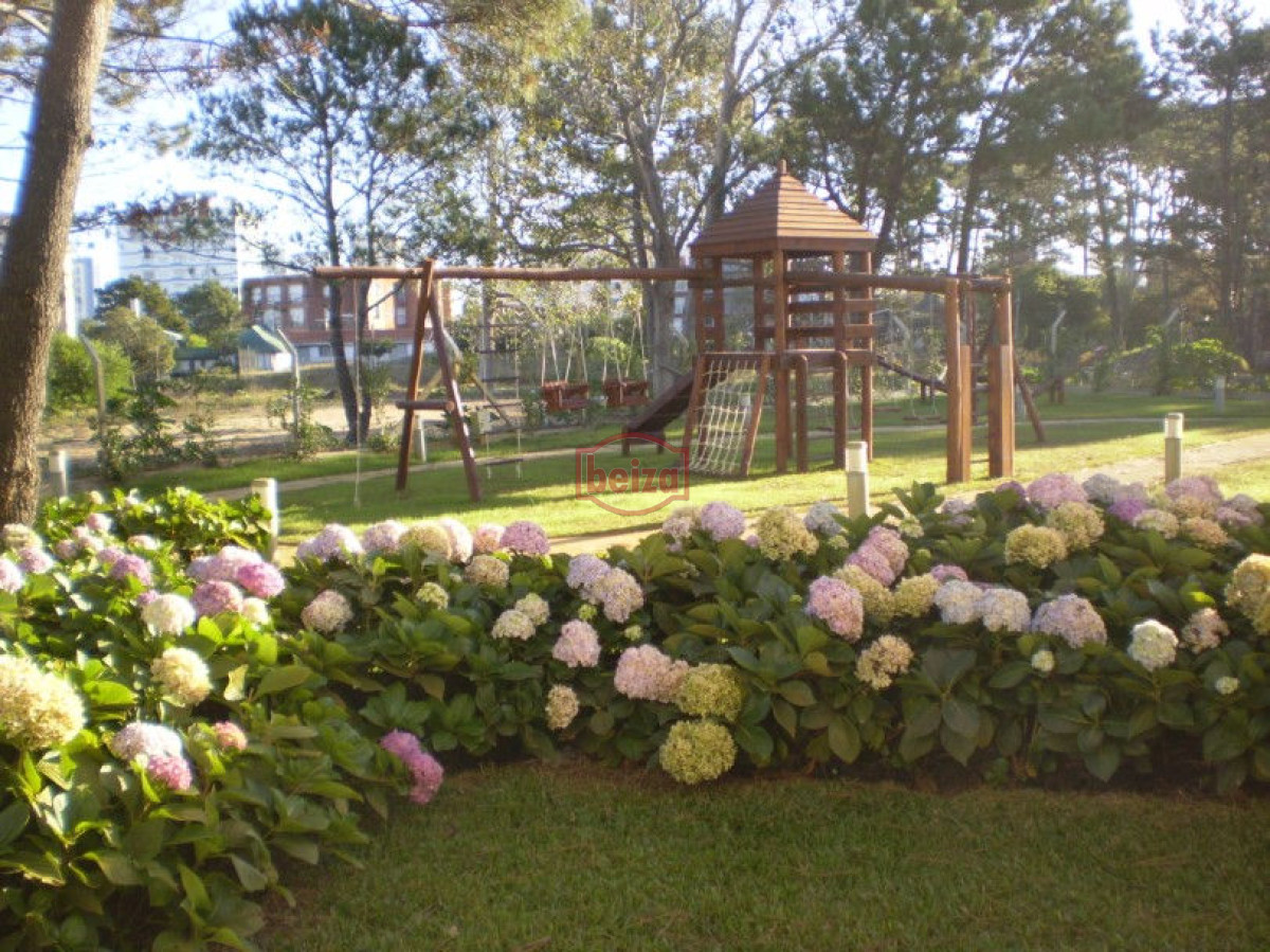 Apartamento ID.162503/Apartamento-en-Peninsula,-1-dormitorios-* - Apartamento en Roosevelt, 1 dormitorios *