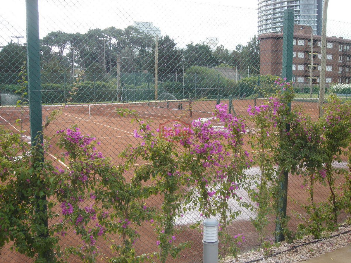 Apartamento ID.162503/Apartamento-en-Peninsula,-1-dormitorios-* - Apartamento en Roosevelt, 1 dormitorios *