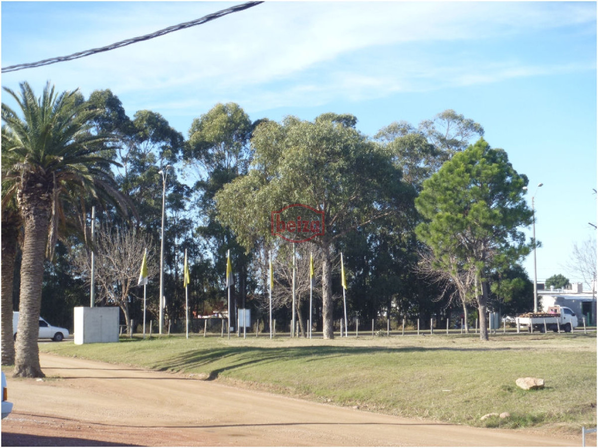 Apartamento ID.167291/Muy-lindo-apto-en-edificio-nuevo-con-pileta-en-piso-16 - Alquiler anual Maldonado