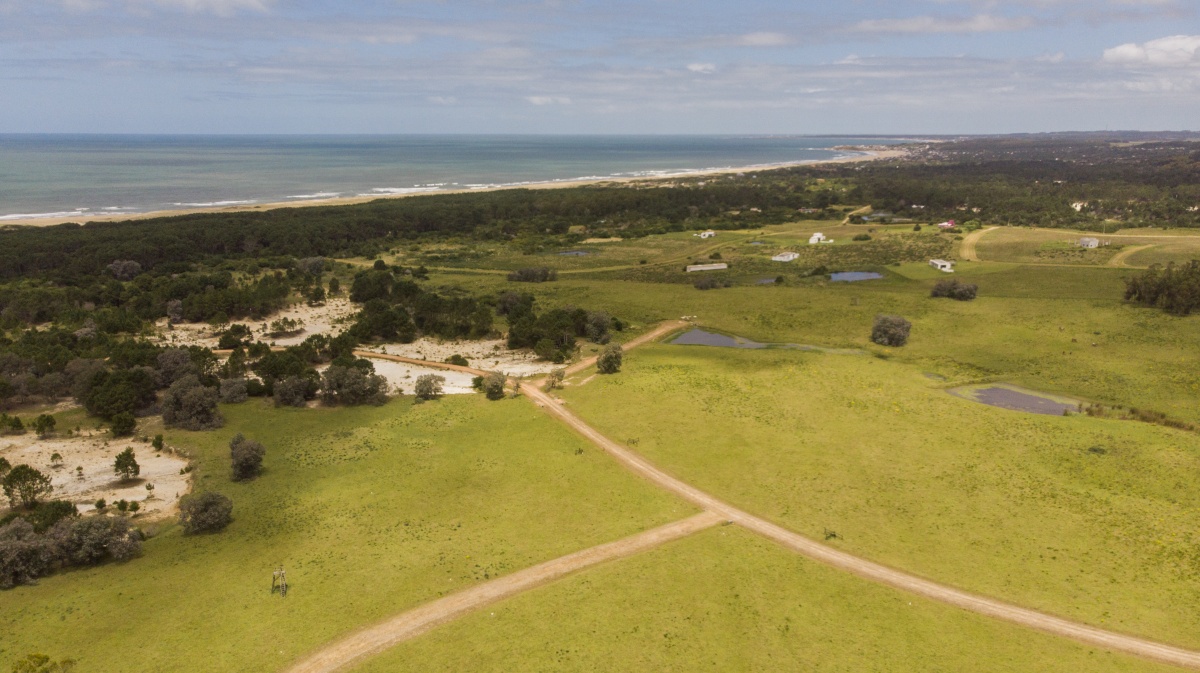  Terrenos en venta de 3.000 mts2, en La Pedrera, San Antonio.