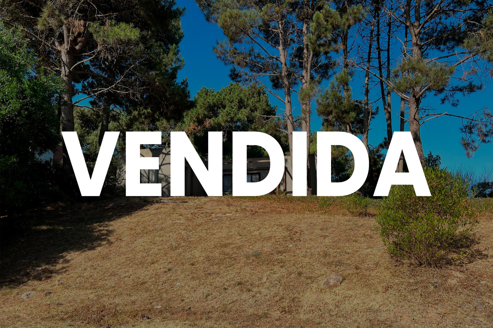 Propiedad No Disponible
