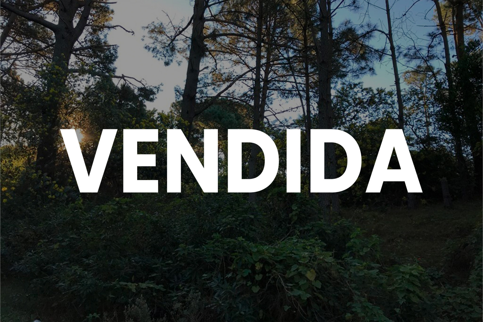 Propiedad No Disponible