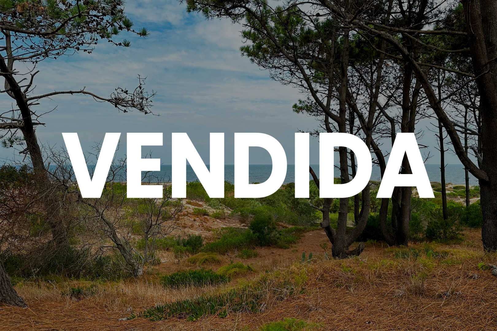 Propiedad No Disponible Propiedad No Disponible
