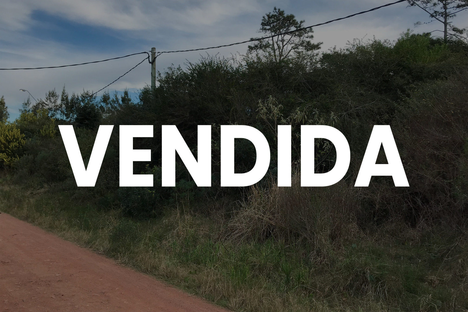 Propiedad No Disponible