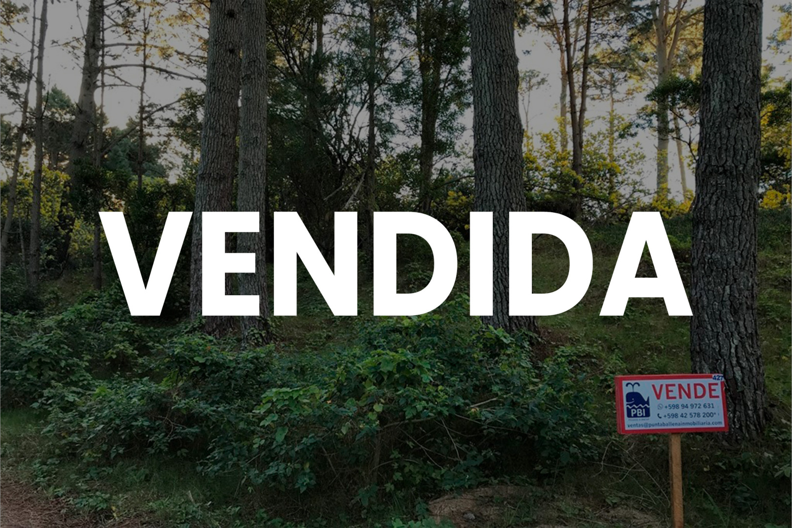 Propiedad No Disponible