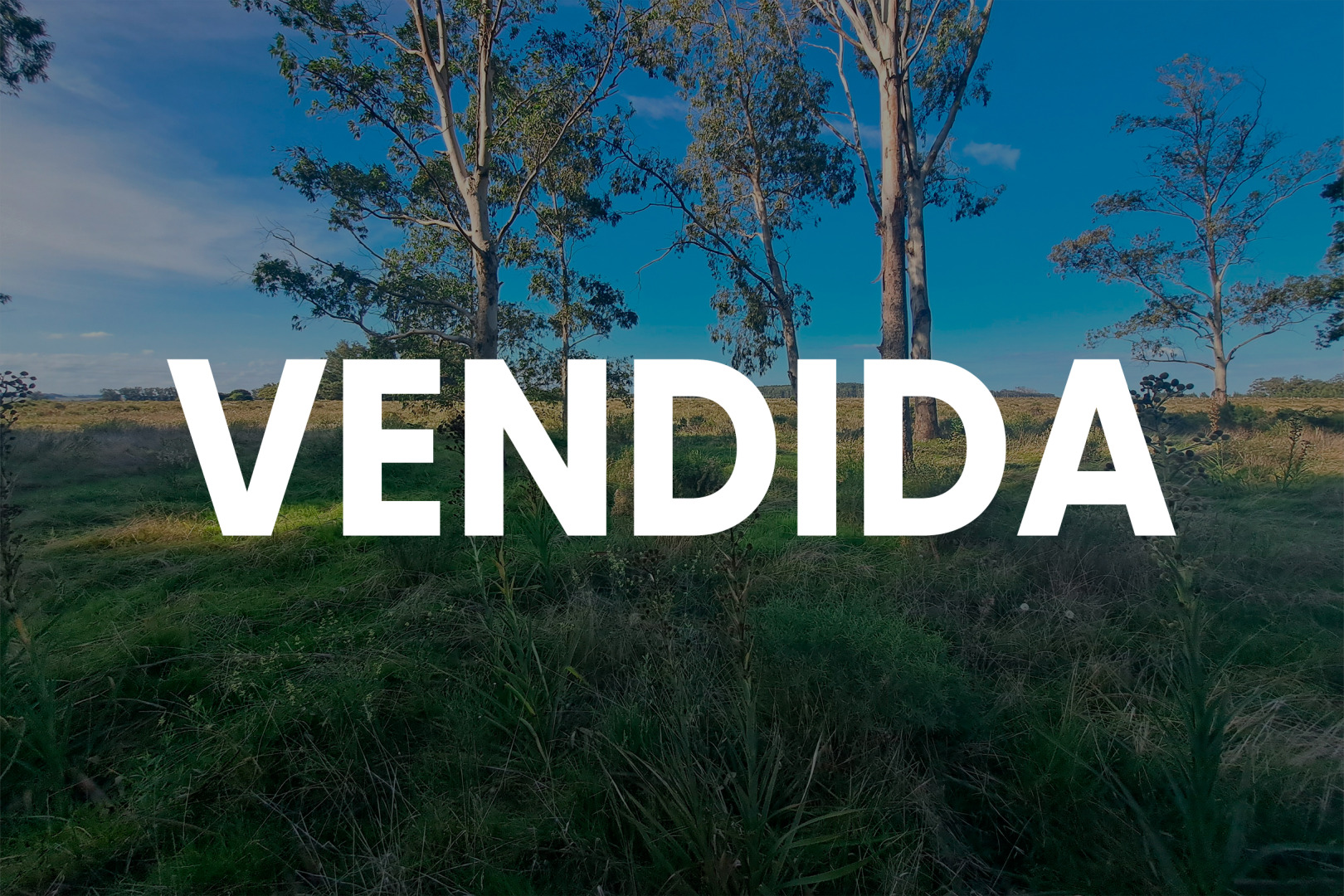 Propiedad No Disponible