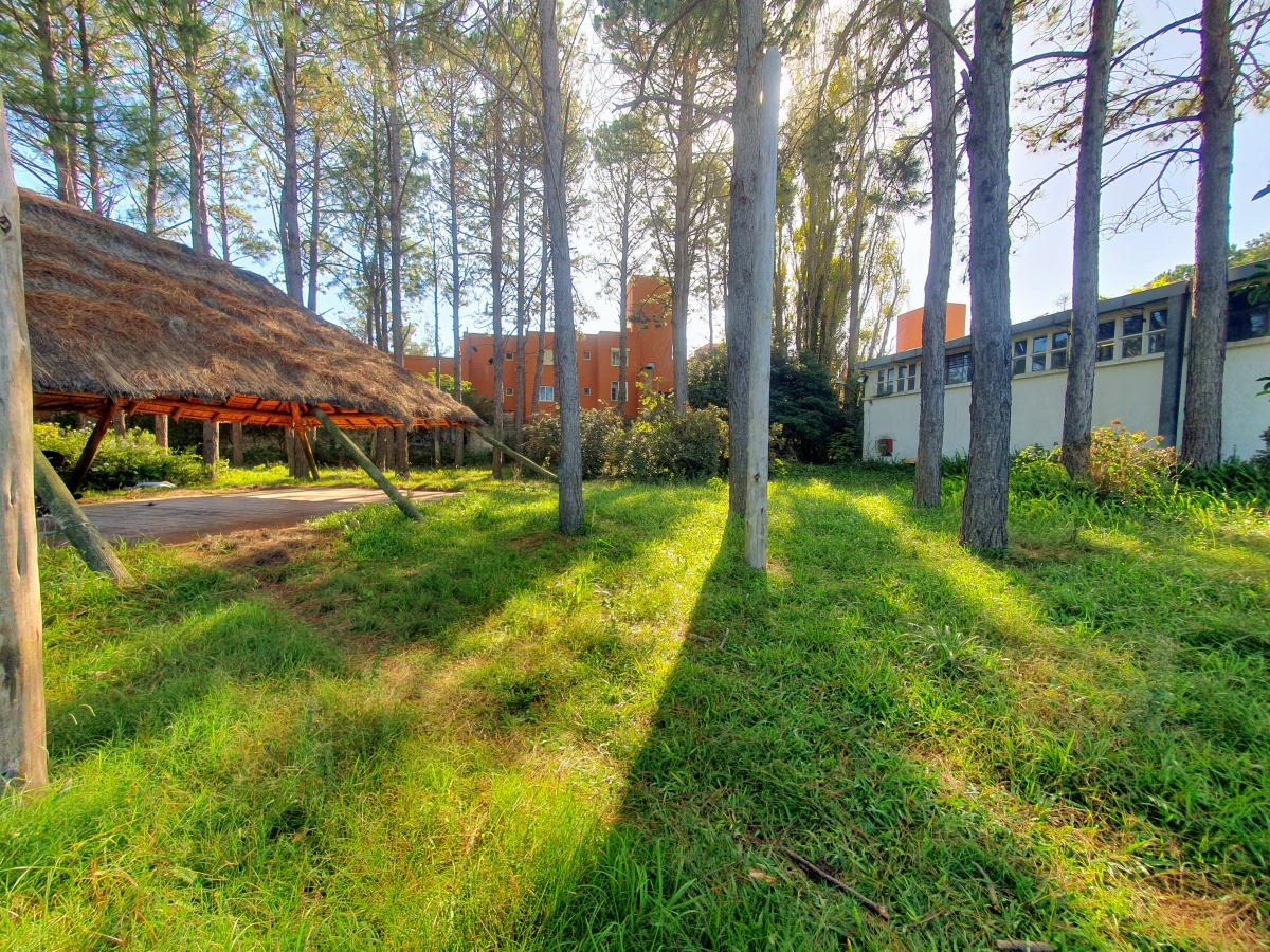  Venta de Terreno de 6100 m2 con mejoras en Maldonado.
