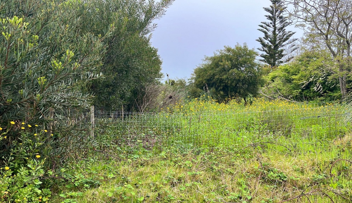  Venta de Terreno de 500 m2 en zona alta del Chorro