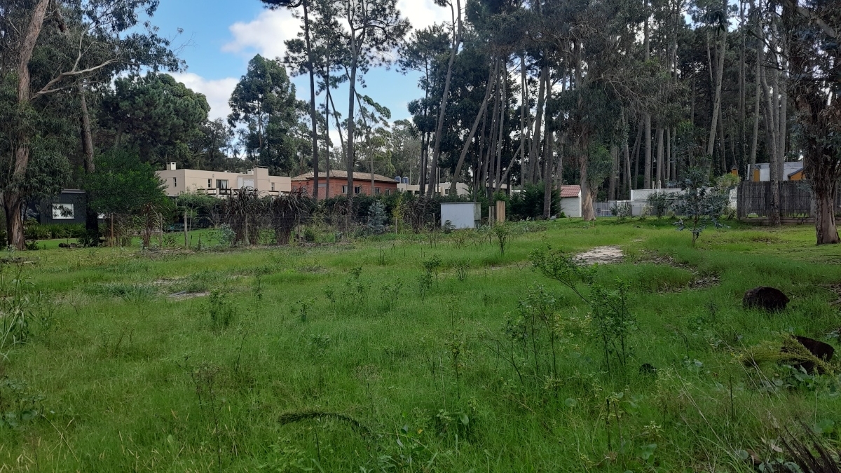  Venta terreno, Solanas, Punta Ballena