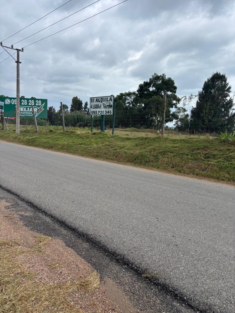  Alquiler de terreno de 4800m2 sobre Interbalnearia