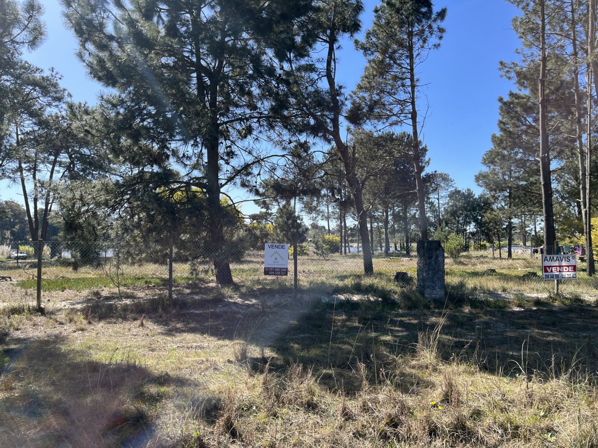   Terreno de 5608 m2 Pinar Sur , en venta .