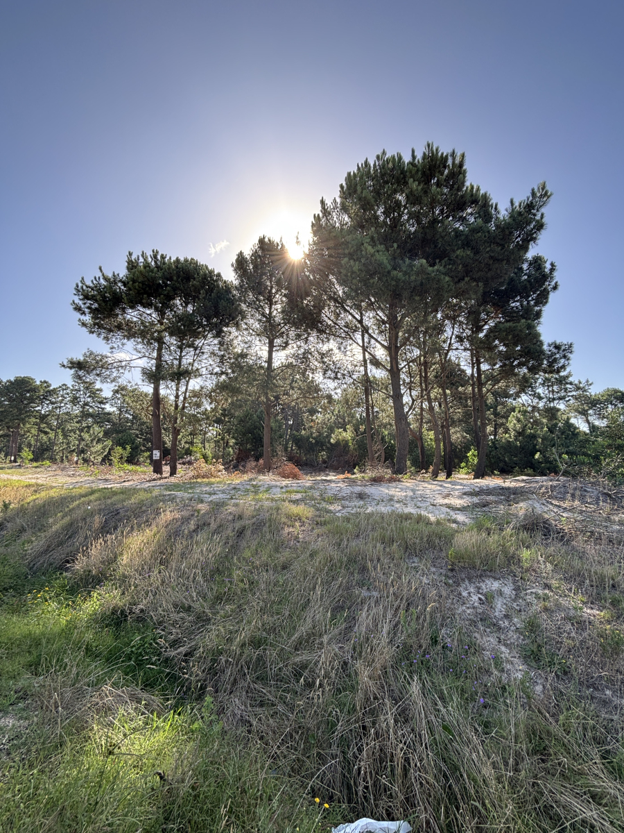  Pando Barros blancos Terrenos financiados !!