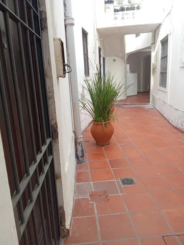  Alquiler Apartamento 2 Dormitorios, Planta Baja, Patio, Pocitos