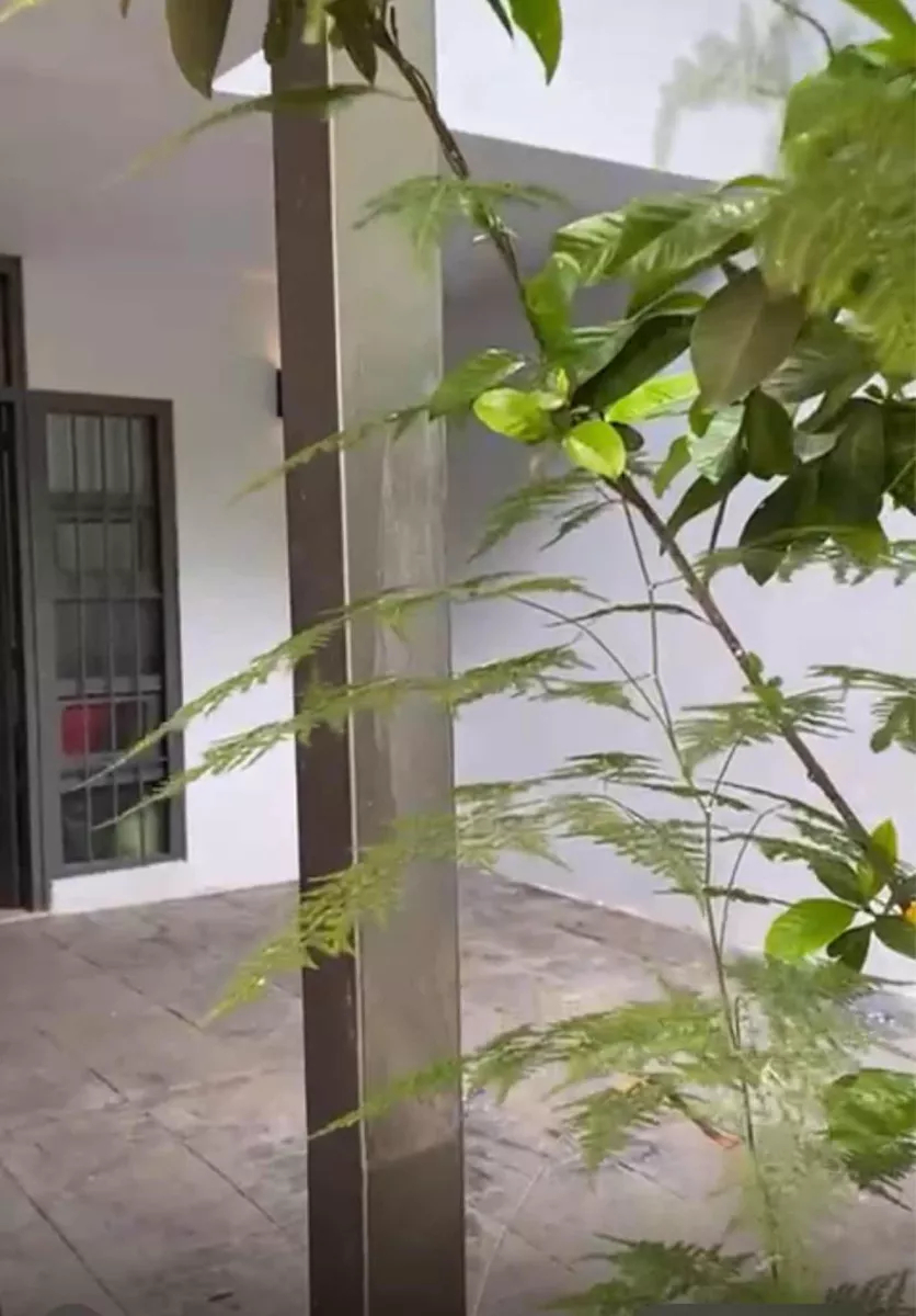  Se Alquila Casa 4 Dormitorios 2 Baños 2 Cocheras En La Blanqueada