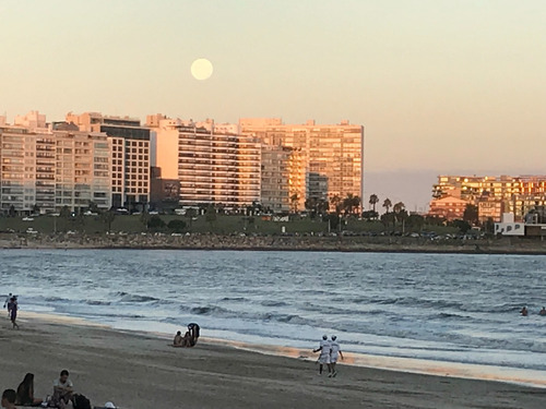  Alquiler Apartamento Al Frente Sobre Rambla Pocitos Montevideo