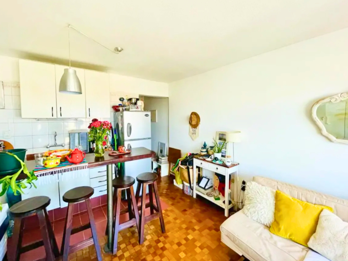  Alquiler Apartamento Monoambiente Pocitos Montevideo