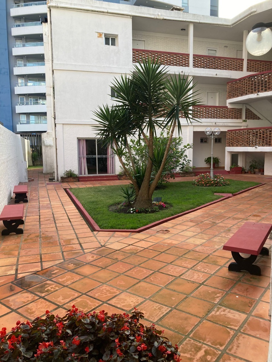  Apartamento en alquiler, monoambiente, Punta del Este