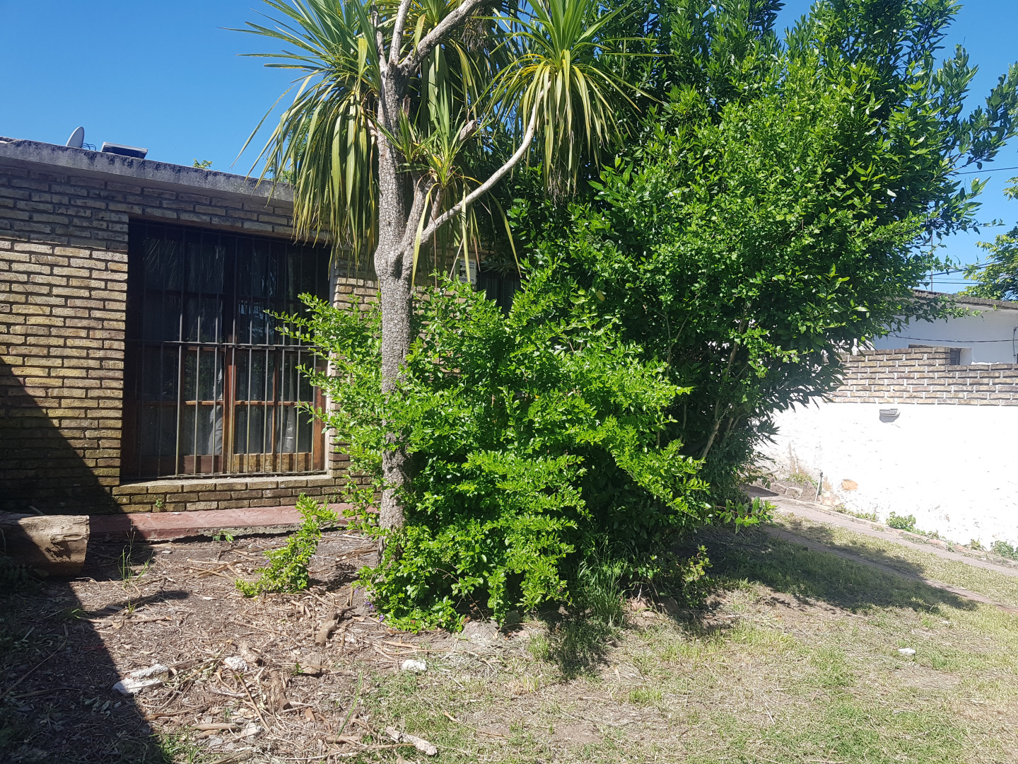  Casa 2 Dorm, Barbacoa, Cochera en barrio Colón