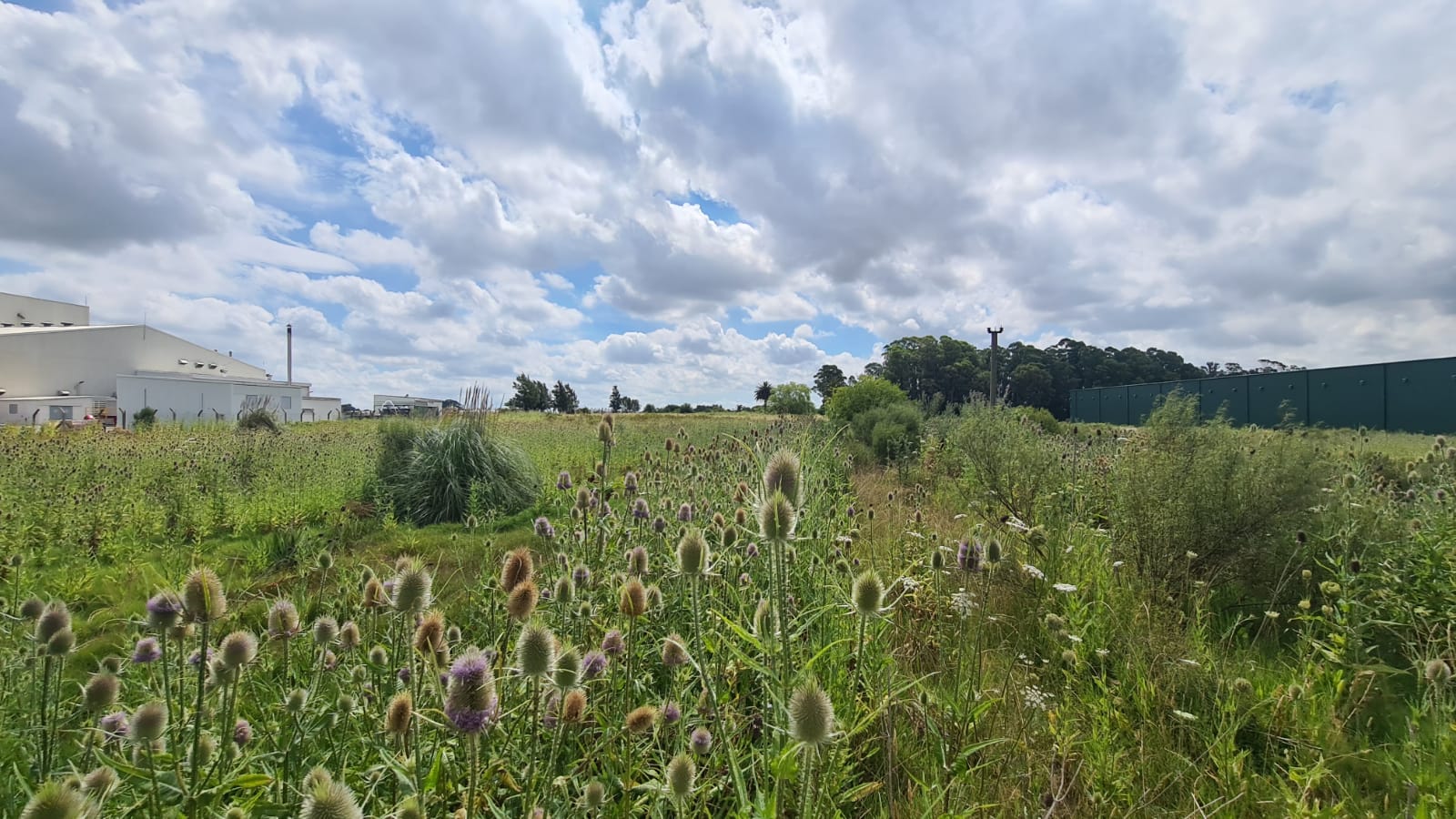  Venta Terreno  de 11000mts en Carrasco Este . 