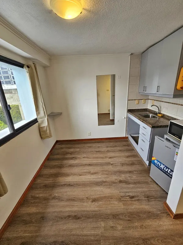  Alquiler Apartamento Monoambiente Punta Carretas