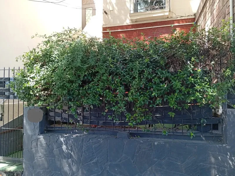  Alquiler Casa semiamoblada 4 Dormitorios La Comercial