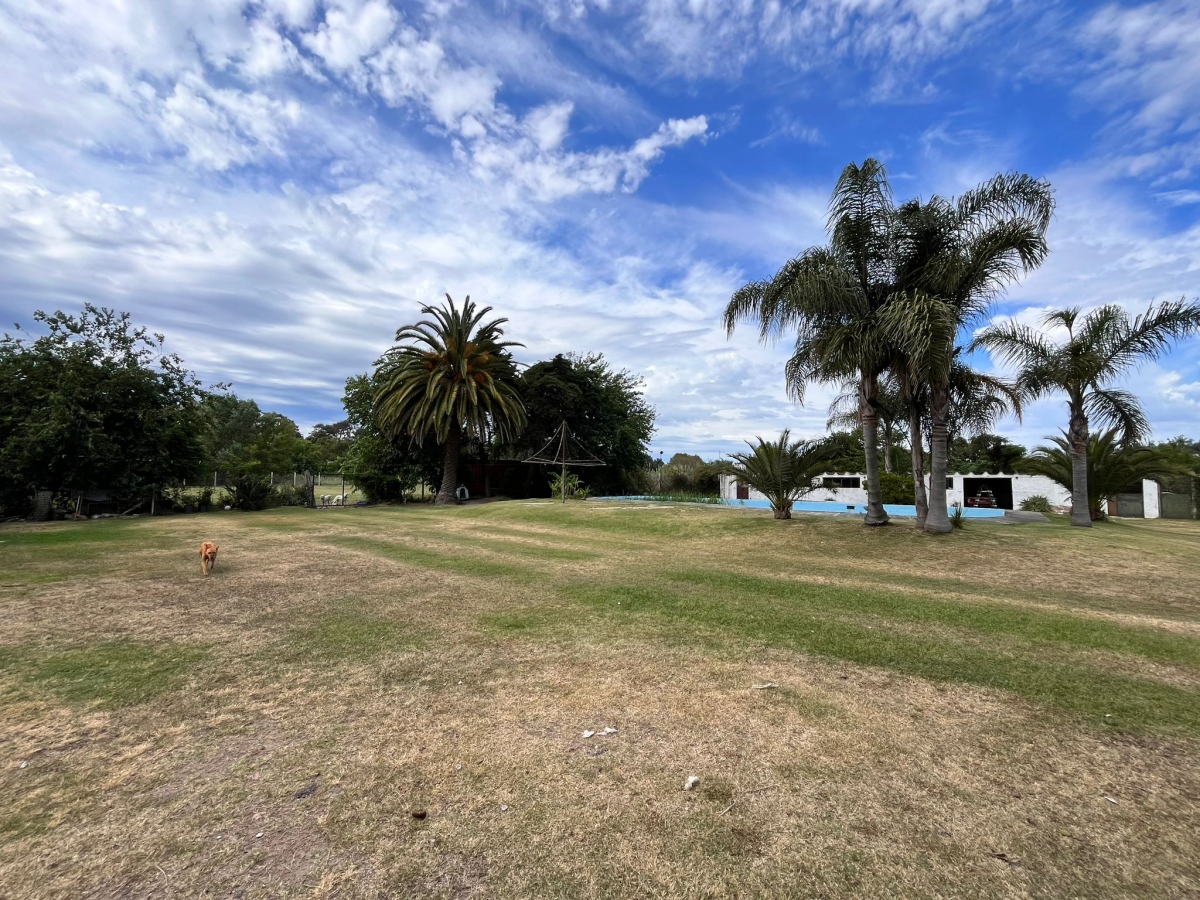  Venta Excelente Terreno con dos Casas y galpones Para Inversionistas Parque Carrasco