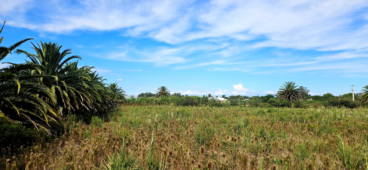  Venta de Terreno en Rocha - Ubicación Estratégica en Ruta 9