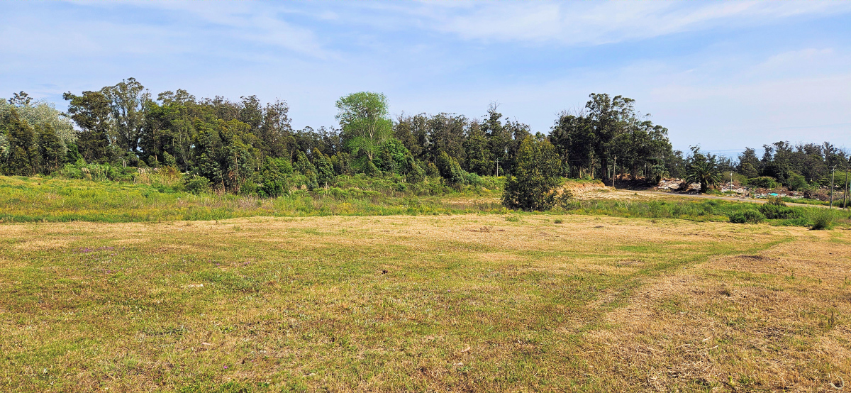  Venta de Terreno de 1200 m2 frente al Club de Golf de Punta del Este.