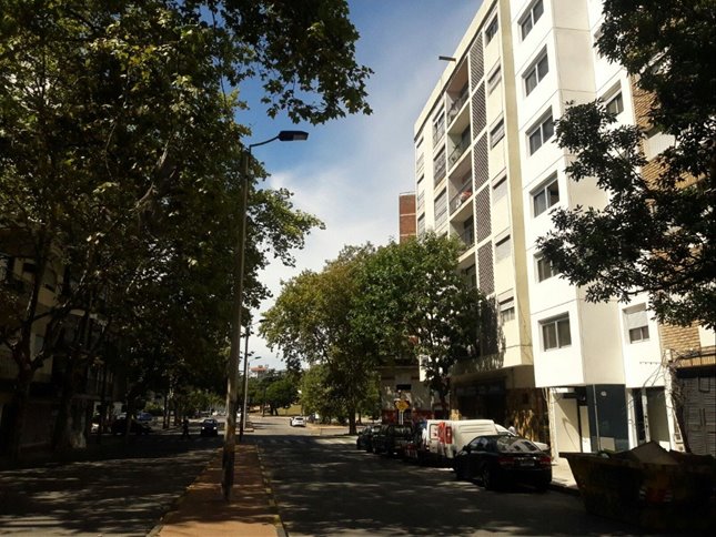  Alquiler Apartamento Parque Rodó 21 De Setiembre Piso Alto