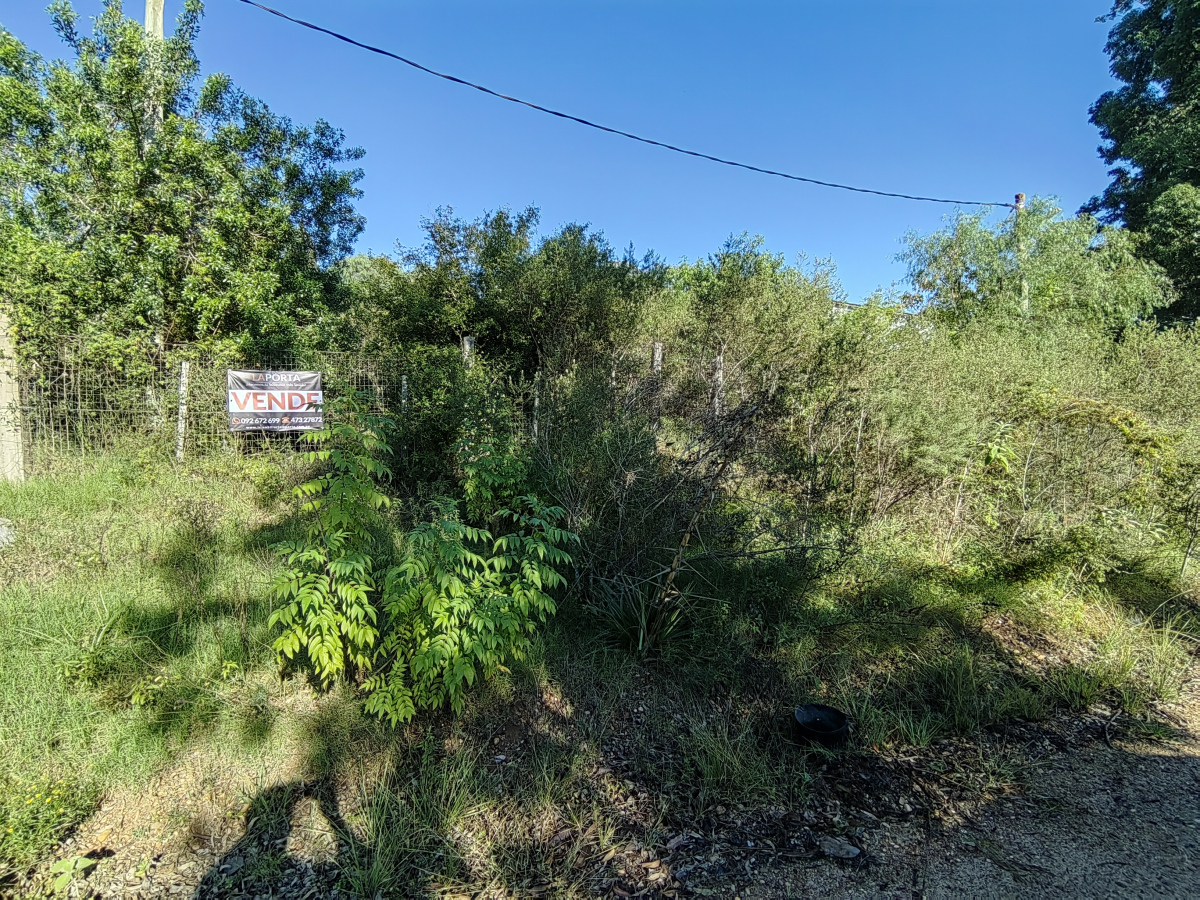 Imagen principal de la propiedad