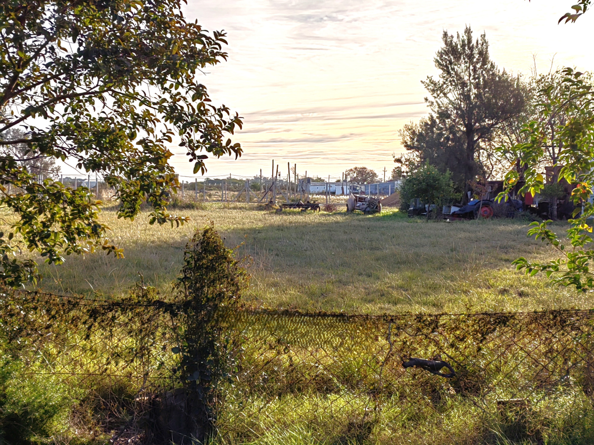 Imagen principal de la propiedad