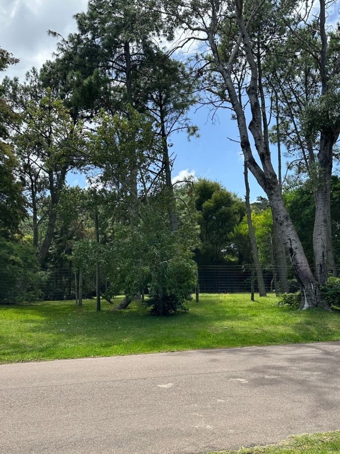 Imagen principal de la propiedad