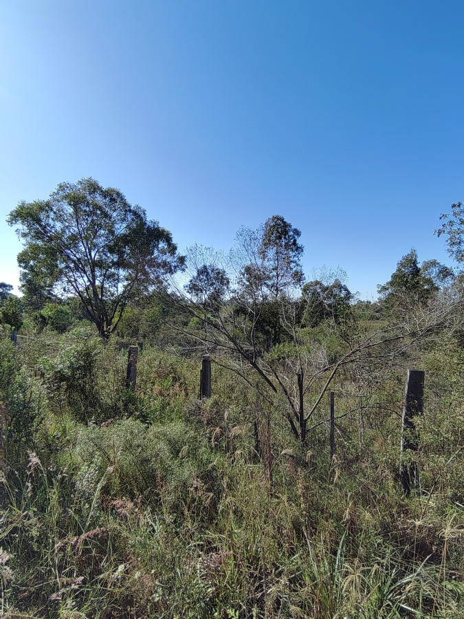 Imagen principal de la propiedad