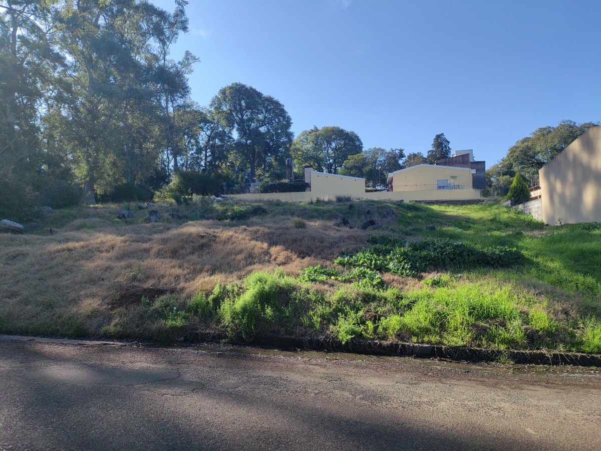 Imagen principal de la propiedad