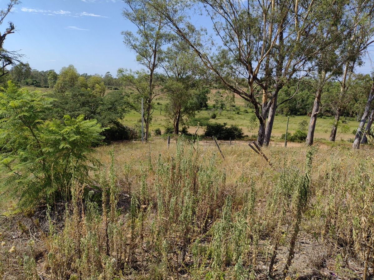 Imagen principal de la propiedad