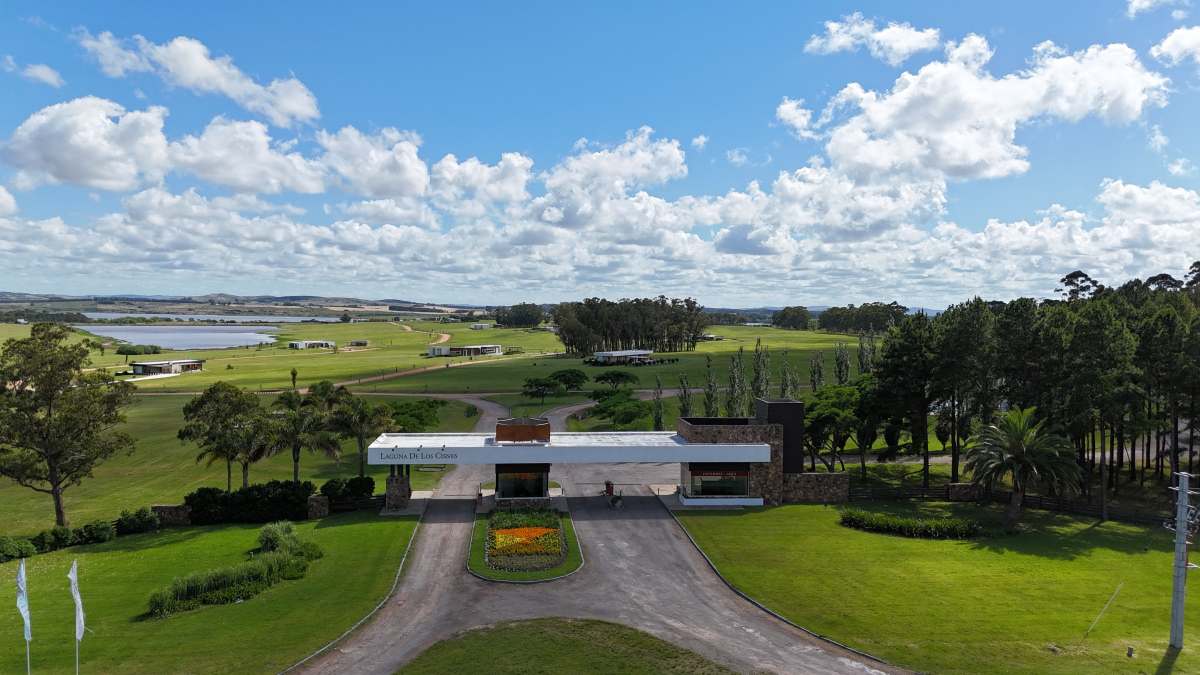 Imagen principal de la propiedad