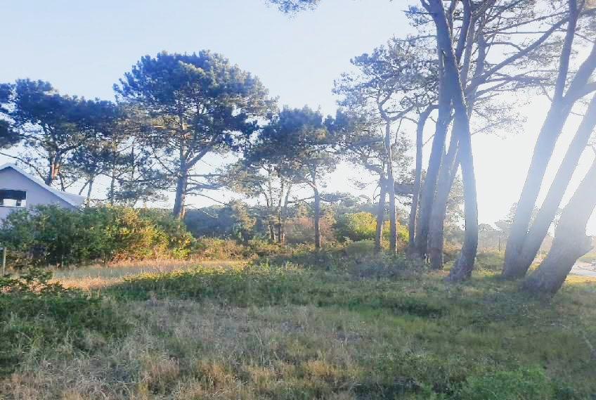 Imagen principal de la propiedad