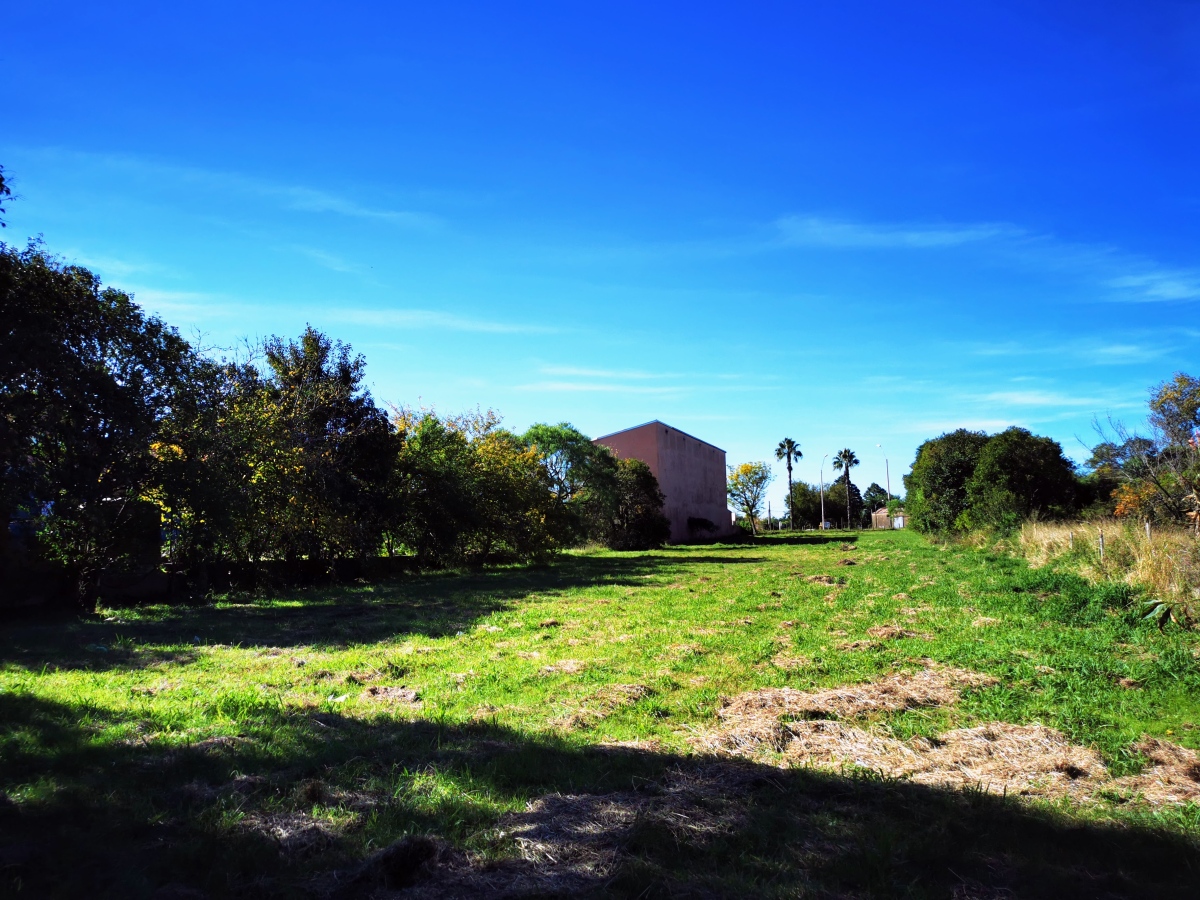 Imagen principal de la propiedad