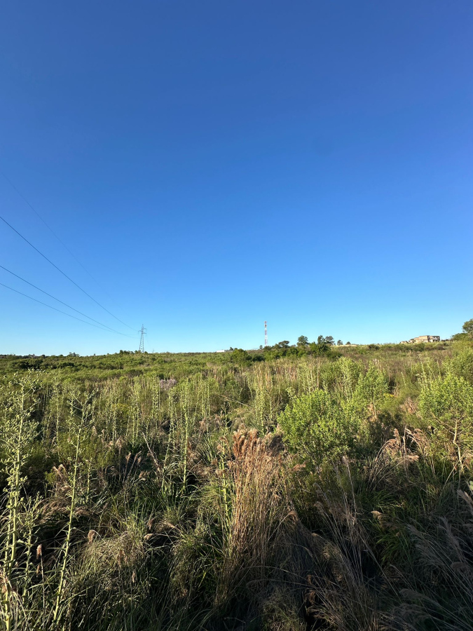 Imagen principal de la propiedad