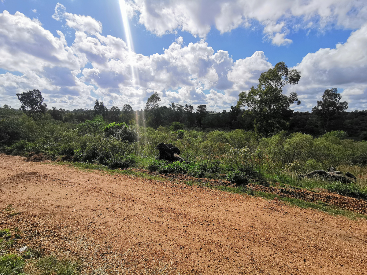 Imagen principal de la propiedad