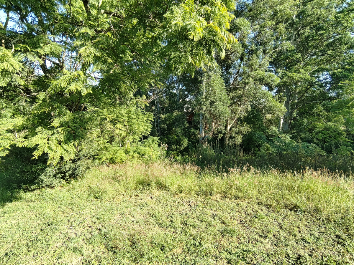 Imagen principal de la propiedad