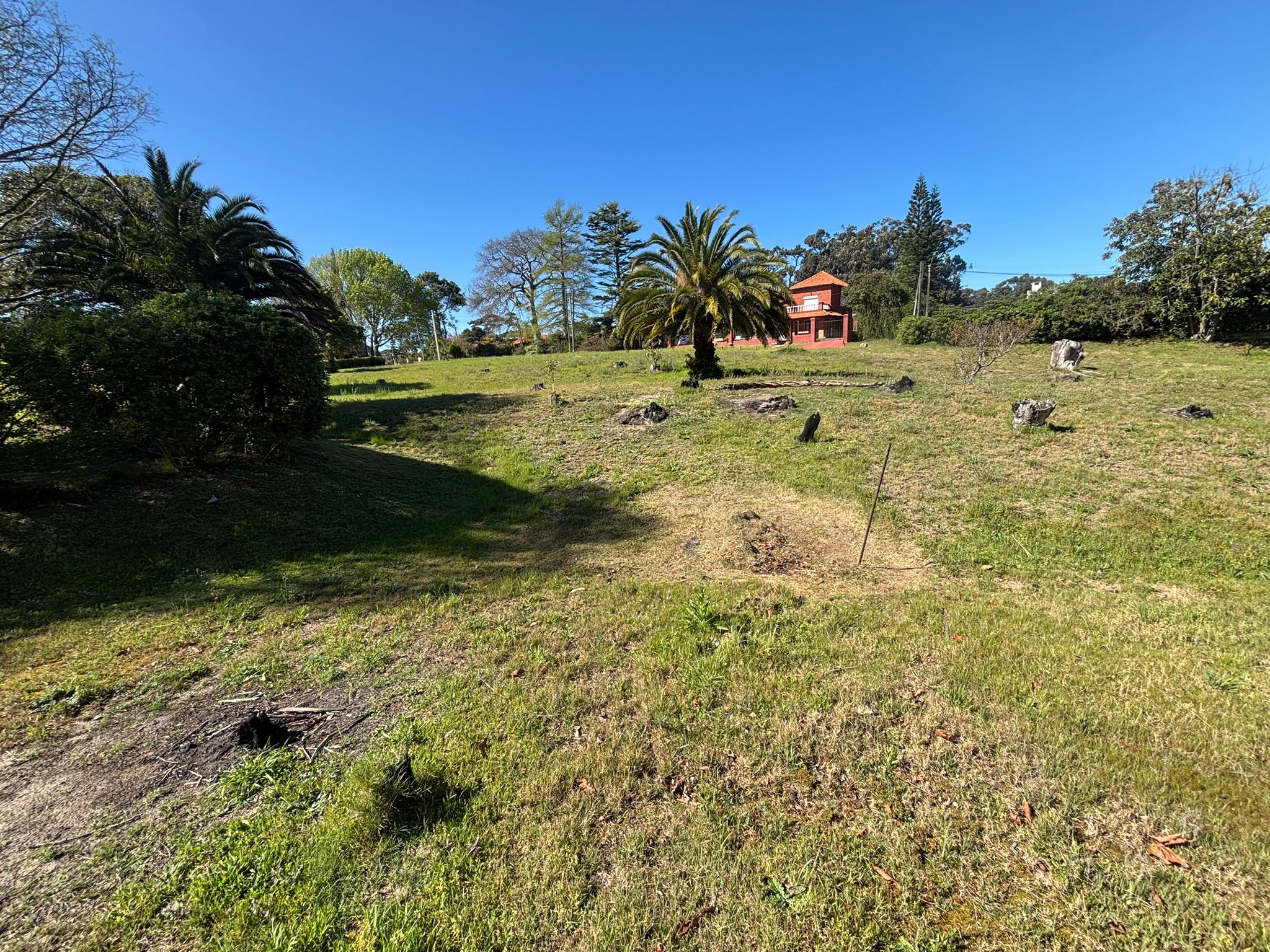 VENTA TERRENO PINARES 